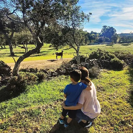 Nyaraló Casa Do Forno *