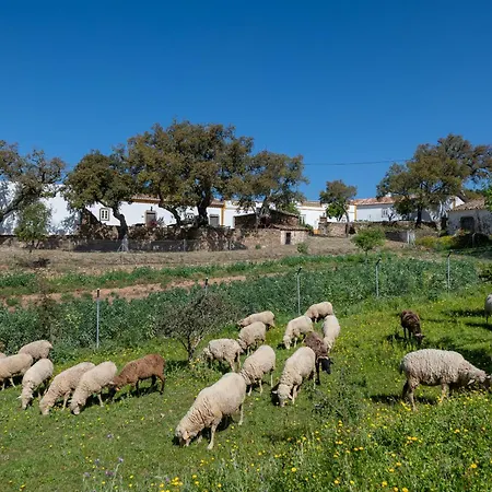 Prázdninový dům Casa Do Forno Loulé