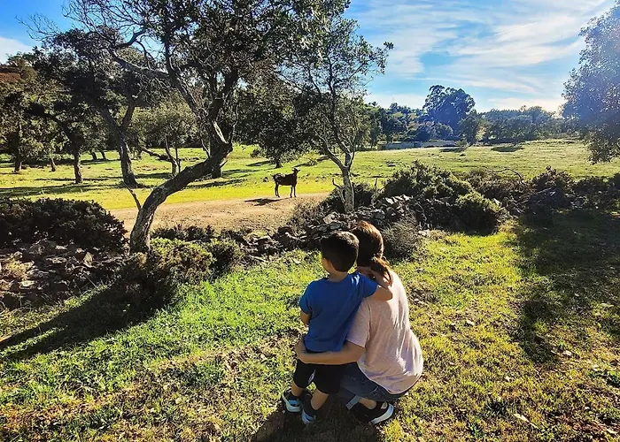 펜션 Casa Do Forno *