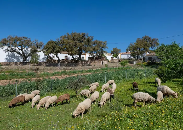 펜션 Casa Do Forno 롤레