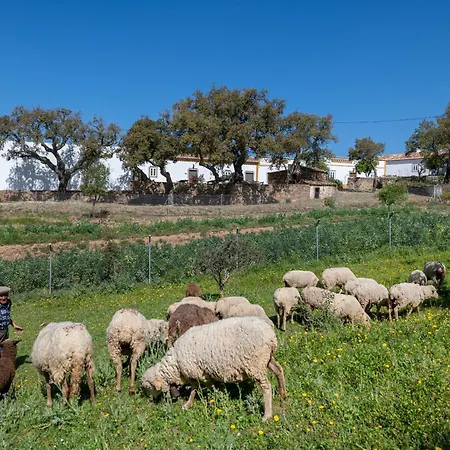 Сasa de vacaciones Casa Do Forno