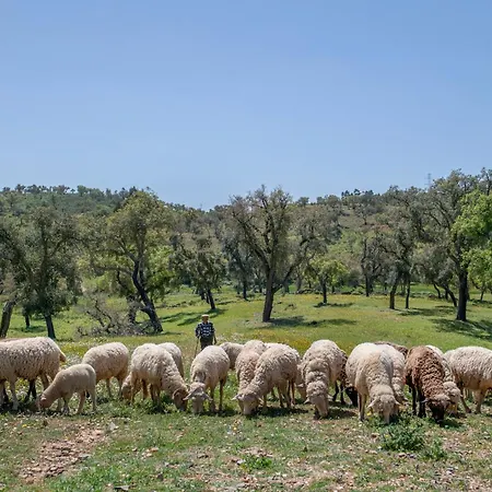 Сasa de vacaciones Casa Do Forno *