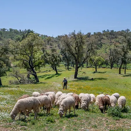 Casa Do Forno Сasa de vacaciones Loulé