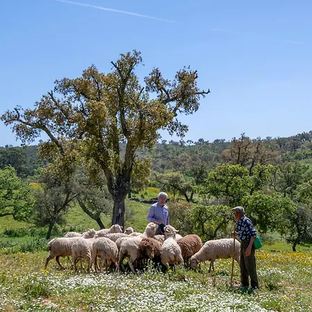 Casa Do Forno Сasa de vacaciones